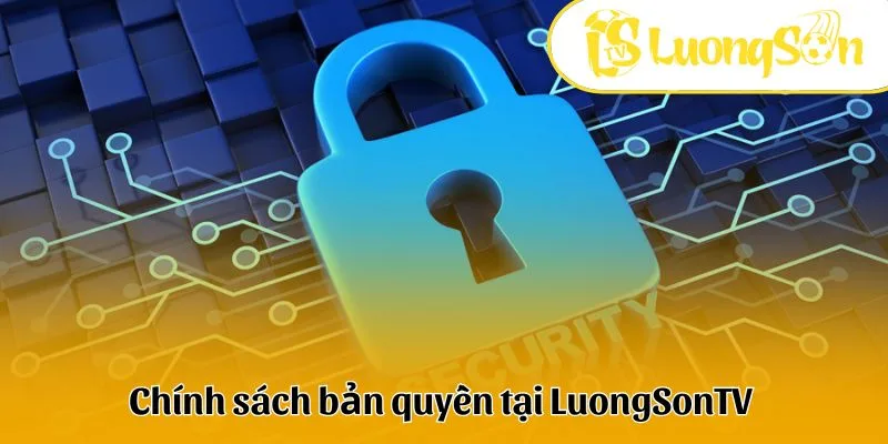 Thông tin chính sách bản quyền Lương Sơn TV