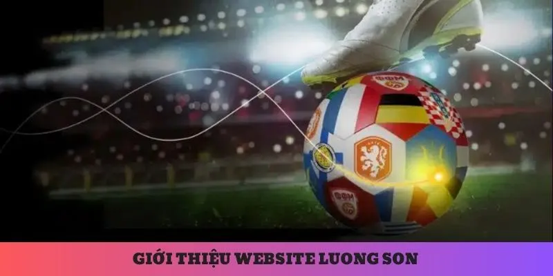 Tầm nhìn phát triển tương lai của Luong Son